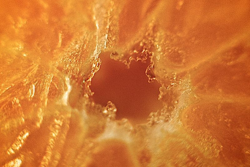 Illustration for article titled Shooting Challenge: Ice, Gallery 2
